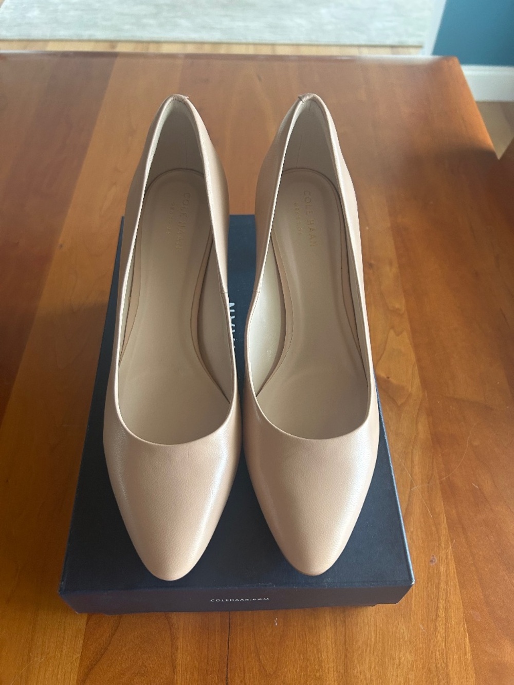 Cole Haan Clara 65mm Heel Nude Pumps, NIB; 9